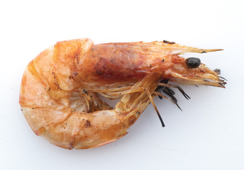 shrimp isolated on white background