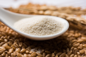Raw unprepared semolina flour also known as Rava powder in Hindi in bowl or spoon. close-up isolated on white or moody background. selective focus