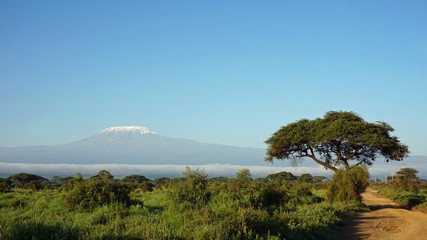 kilimanjaro and kenyan landscape