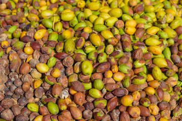 the fruits of the argan tree