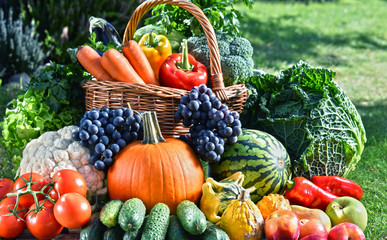 Variety of fresh organic vegetables and fruits in the garden