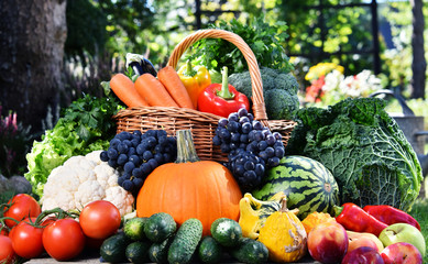 Variety of fresh organic vegetables and fruits in the garden