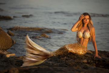 Beautiful mermaid sitting on a rock - obrazy, fototapety, plakaty