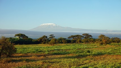 kilimanjaro and kenyan landscape - obrazy, fototapety, plakaty