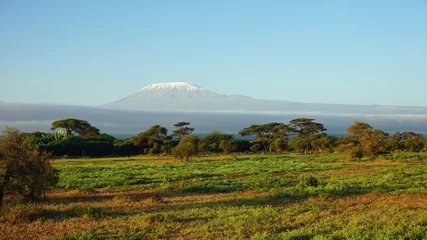 Rideaux velours Kilimandjaro kilimanjaro and kenyan landscape