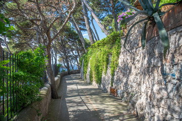 Via Krupp am Giardin di Augusto auf Capri