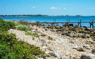 Morning Stony Beach Pier Piink Roses Padnaram Dartmouth Massachusetts