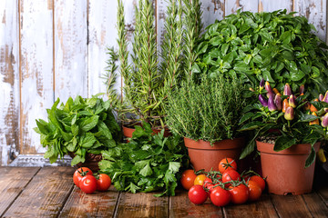 Fresh organic herbs and vegetables selection
