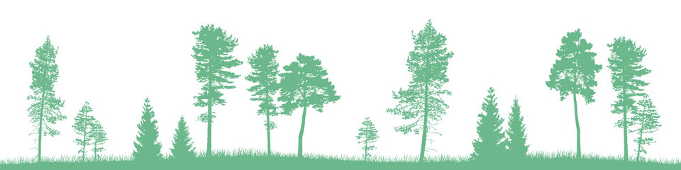 Seamless vector landscape with green coniferous trees and grass.