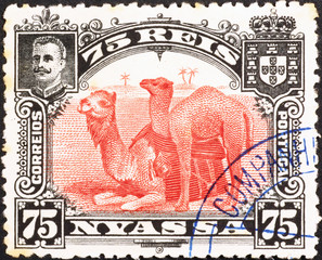 Two camels on vold postage stamp of Nyassa