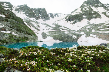 Fototapeta na wymiar mountain spring landscape with blossoms flowers rhododendron and blue lake reflection