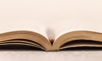 Old Opened Book And Pencil 4