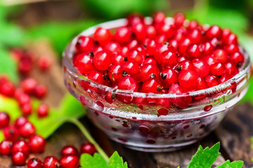 Ripe redcurrant in glass bowl close