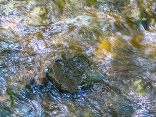 Water in a stream swirling around a partially submerged tree stump or rock