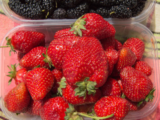 Assorted ripe strawberries and mulberry for a healthy diet