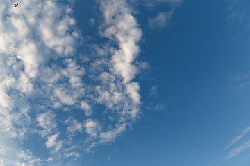 white fluffy clouds in the blue sky