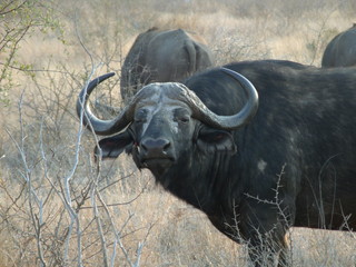 Obraz premium GEDSC DIGITAL CAMERA