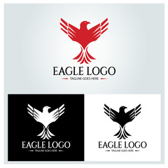 Eagle logo design template. Vector illustration