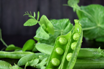 Green pea pods against the dark background