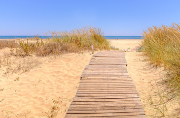 wooden track path leading through soft golden sand and beach grass toward the blue sky and ocean on Isla Canela beach, Ayamonte, Andalucia, Spain