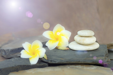 Fototapeta na wymiar White spa stone with frangipani flowers on the slate floor. The concept of balance and harmony
