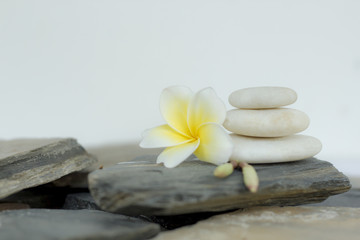 White spa stone with frangipani flowers on the slate floor. The concept of balance and harmony