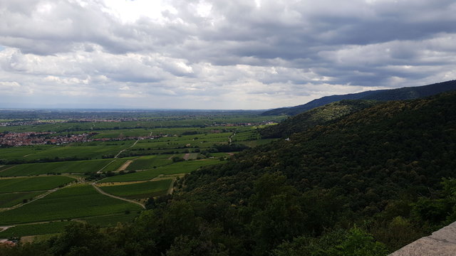 Hambach an der Weinstra&szlig;e 