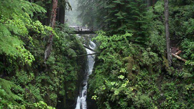 Cinemagraph Loop - Sol Duc , Olympic National Park, USA - Motion photo