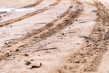 Car tracks on the sand