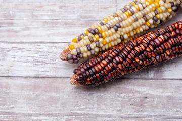 Two corn or maize on light wood table with room for text
