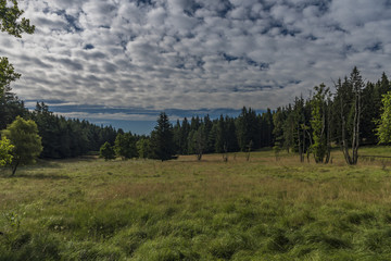 Area near Novoveska spring in Slavkovsky les national park
