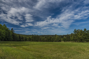 Area near Novoveska spring in Slavkovsky les national park