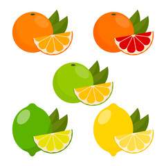 icon set with vector citrus.