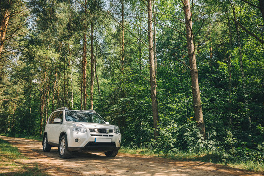 White Suv In Forest. Car Travel Concept. Lifestyle