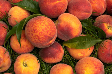 Closeup of Organic Fresh peaches harvest. Food background. 