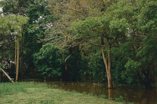 Natureza