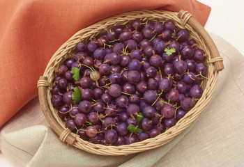 Agrus  in a basket