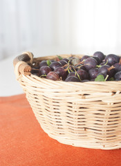 Agrus  in a basket