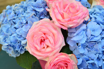 Bouquet of pink roses and blue hydrangea