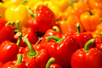 Colourful mix of different red, orange, yellow fresh bell pepper at market