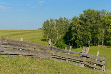 Fototapeta premium old collapsing wooden fence on a green glade with a forest and a ravine