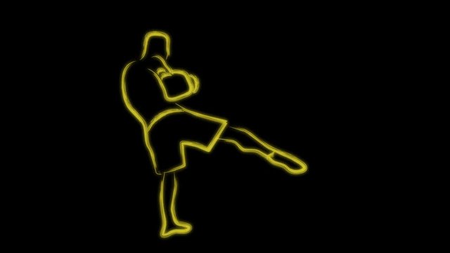 Two kickboxing fighters fighting cartoon animation