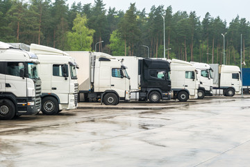 Trucks in a row with containers in the parking lot near forest , Logistic and Transport concept