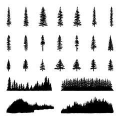 Tree Silhouettes © Giraphics
