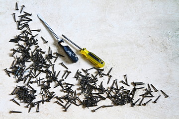 screws and screwdrivers on a concrete floor