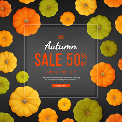 Autumn sale background. Discount, sale in autumn. Banner flyer with yellow, green, orange pumpkins on black texture. Special seasonal offer. Vector illustration. Top view background