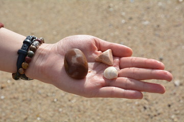 Hand with stones and shell