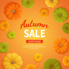 Autumn sale background. Discount, sale in autumn. Banner flyer with yellow, green, orange pumpkins on orange background. Special seasonal offer.  Vector illustration. Top view 