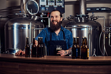 Bearded tattooed hipster male in a jeans shirt and apron working in a brewery factory, standing behind a counter, holds glass of beer for quality control.