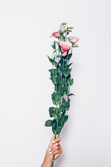 Woman's hand with trendy manicure holding branch of pink flowers